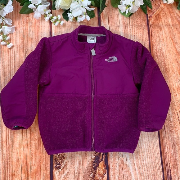 The North Face Other - 💘North Face Denali Polortec Full Zip Girls Jacket